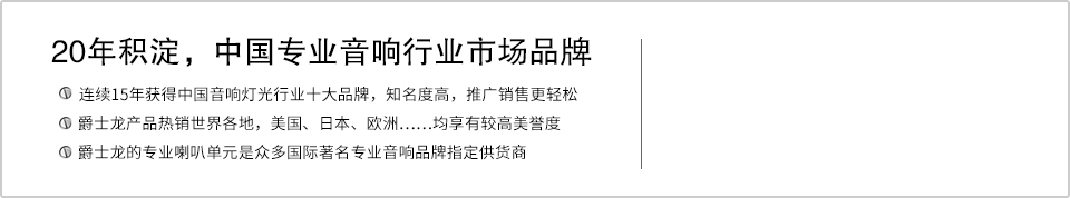 20年積澱，中國專業音響行業市場品牌